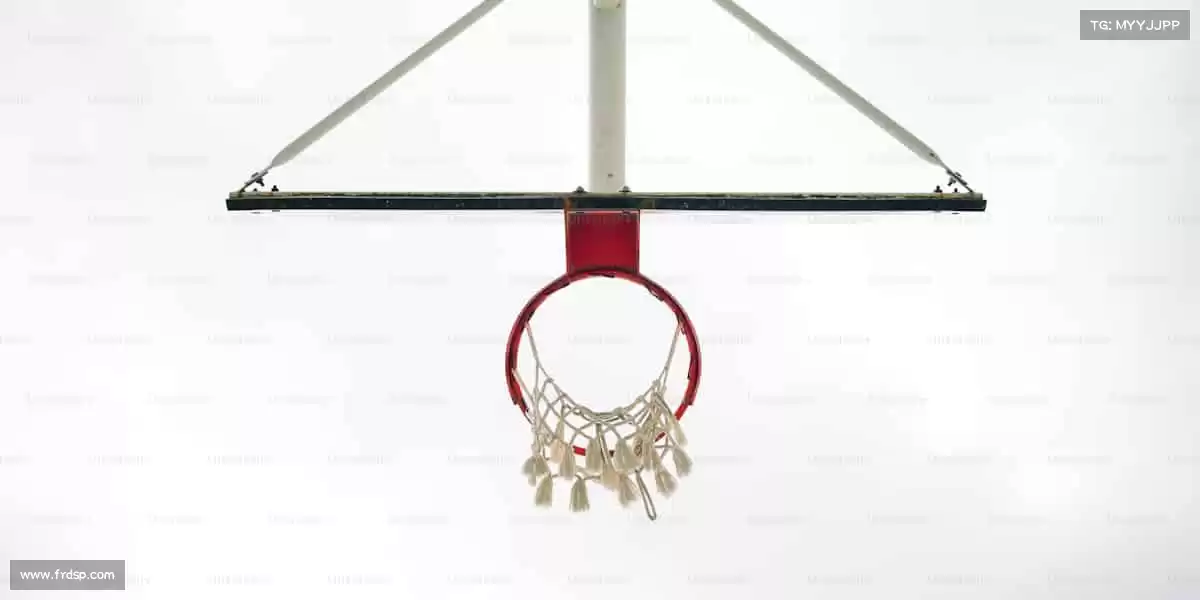 6t体育——🎁球迷专属潮玩集结，让热爱触手可及！👕